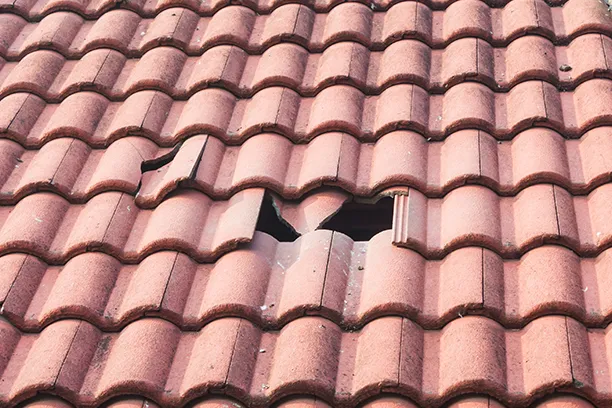 Chimney, Flashing, and Structural Repairs